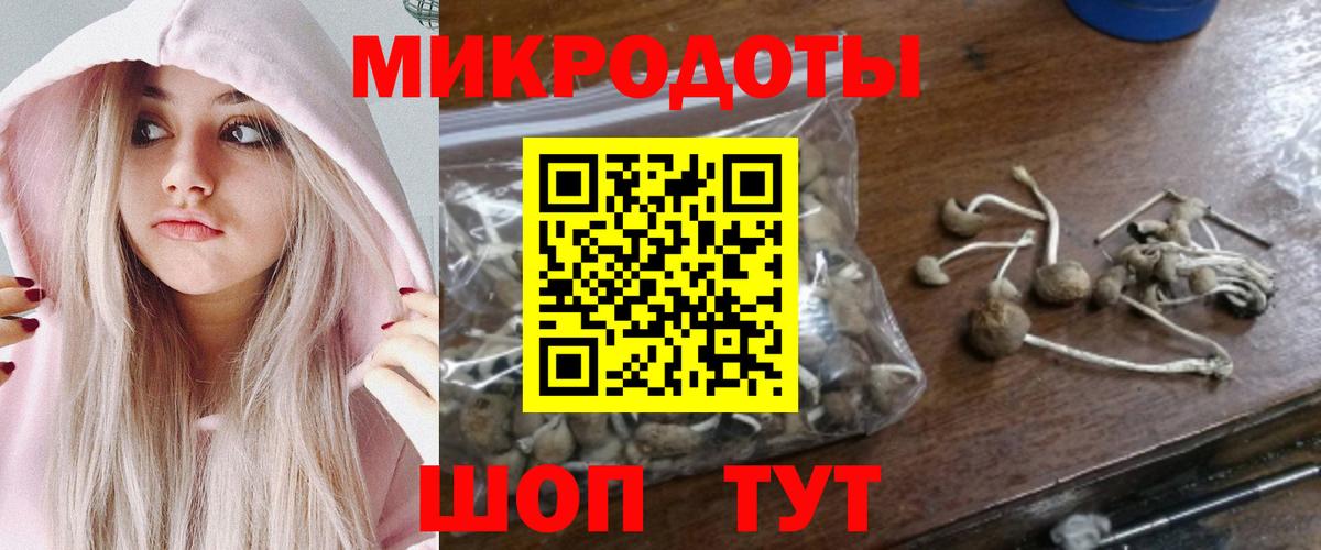 Псилоцибиновые грибы прущие грибы Долгопрудный