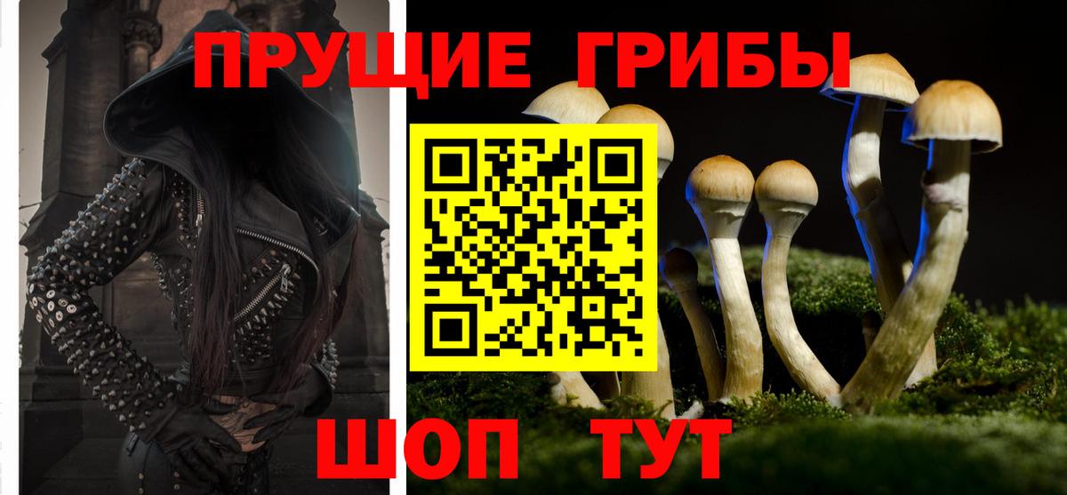 Долгопрудный  Псилоцибиновые грибы Psilocybine cubensis  Вход с VPN 