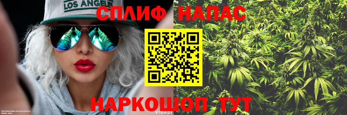 Каннабис ГИДРОПОН  Бошки Шишки марихуана  Конопля Ganja  Долгопрудный  Вход с VPN 